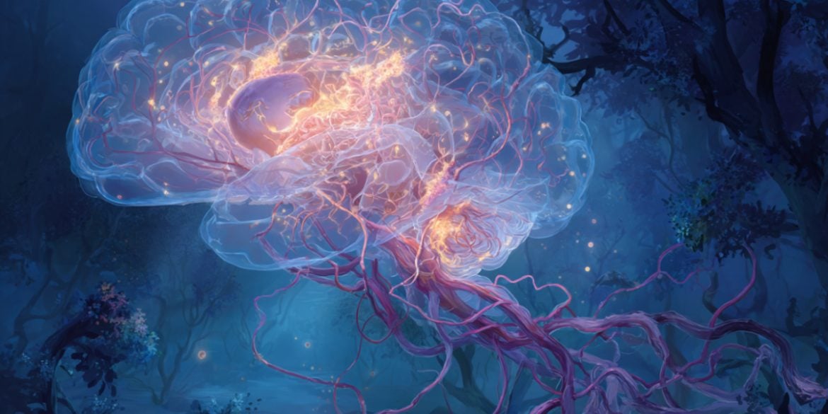 This shows a brain.