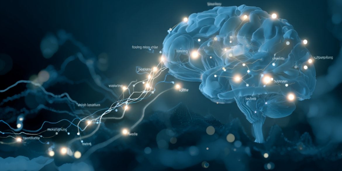 This shows a brain.