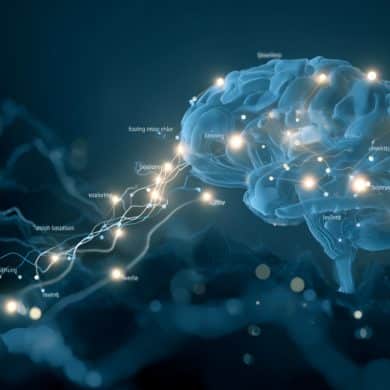 This shows a brain.