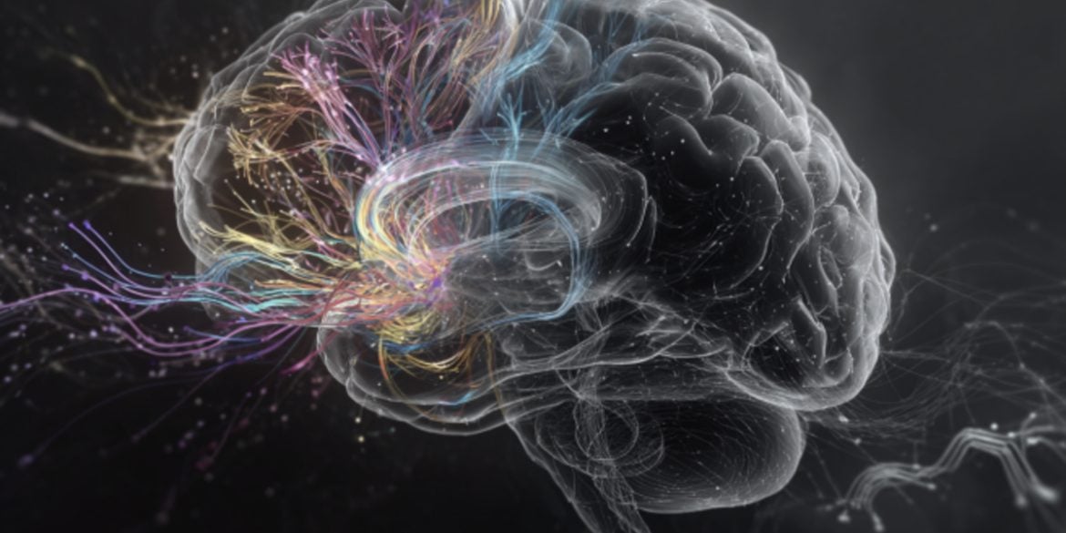 This shows a brain.