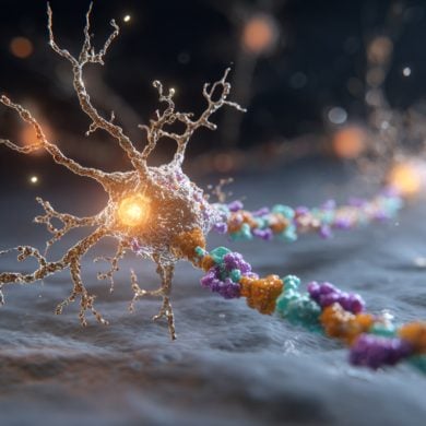This is a visual representation of the 5-HT1A serotonin receptor.