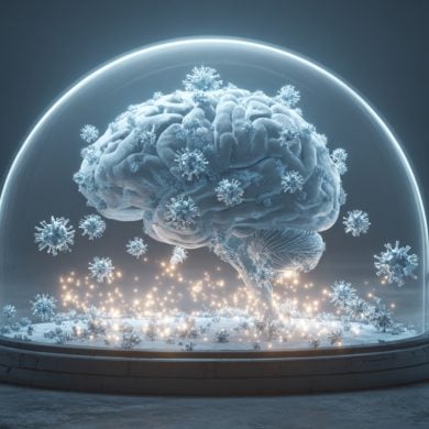 This shows a brain surrounded by proteins in a snow globe.