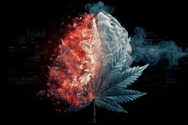This shows a featured brain and a cannabis leaf.