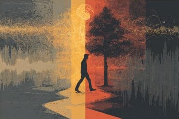 This shows a person walking down a path.