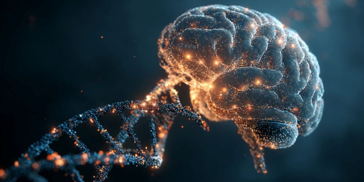 This shows a brain and DNA.