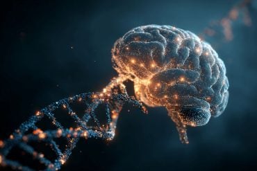 This shows a brain and DNA.