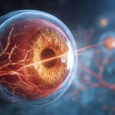 This shows an eye.
