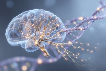This shows a brain and DNA.