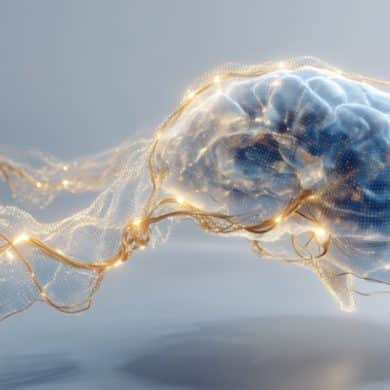 This shows a brain.