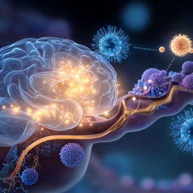 This shows a brain and intestine.