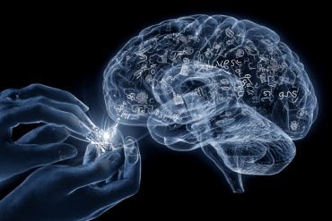This shows a brain and a pair of hands holding a tool.