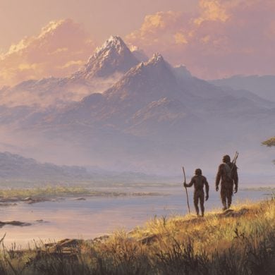 This shows an early human walking besides Australopithecus next to a lake.