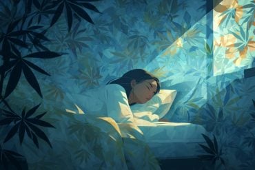 This shows a sleeping woman and leaves.
