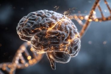 This shows a brain and DNA.