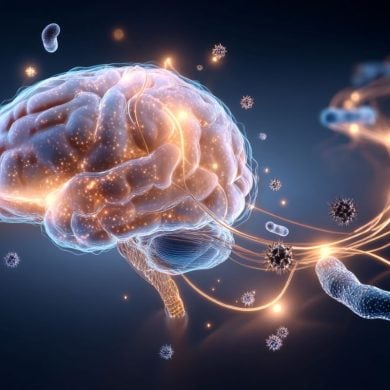 This shows a brain.