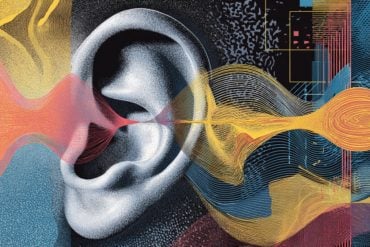 This shows an ear and sound waves.