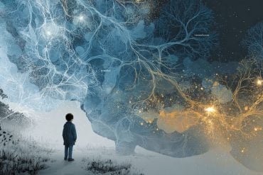 This shows a brain and an unkempt child standing alone.