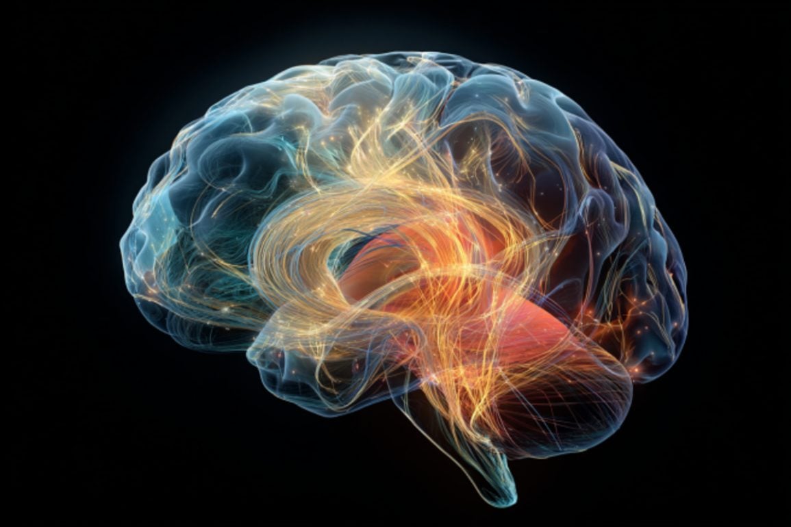 Brain Rewiring Patterns May Predict Alzheimers Years in Advance