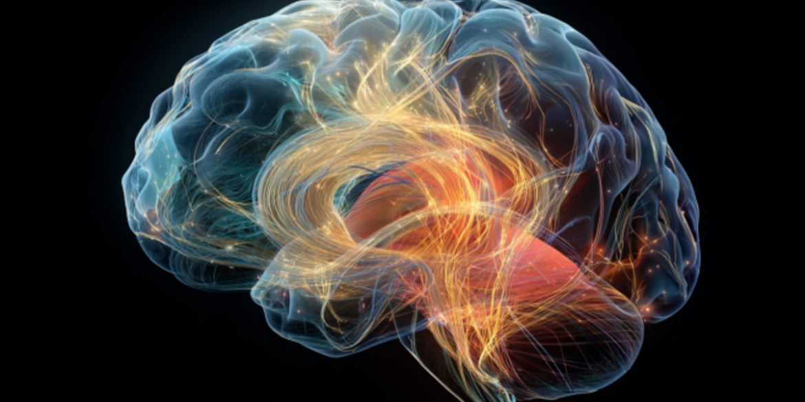 This shows a brain.
