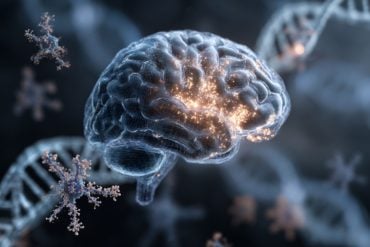 This shows a brain surrounded by viruses and DNA.