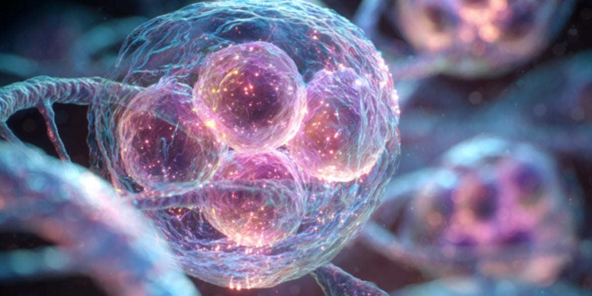 This shows a cell.