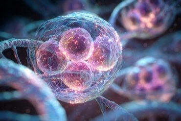 This shows a cell.