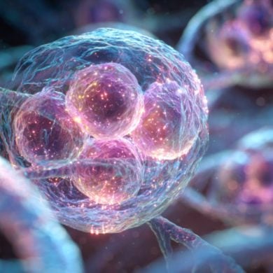This shows a cell.
