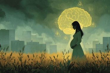 This shows a pregnant woman in a field surrounded by "danger" signs.