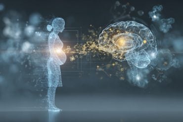 This shows a pregnant woman and a brain.