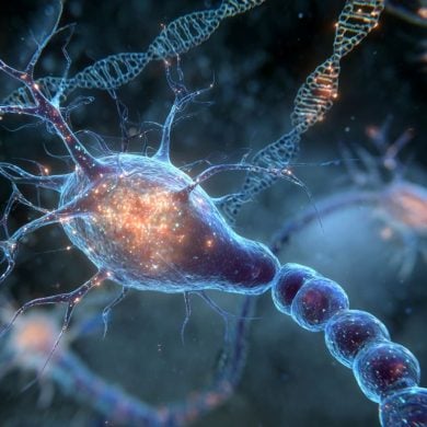 This shows neurons and DNA.