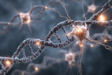 This shows neurons and DNA.