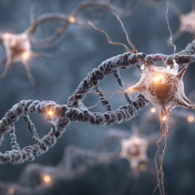 This shows neurons and DNA.