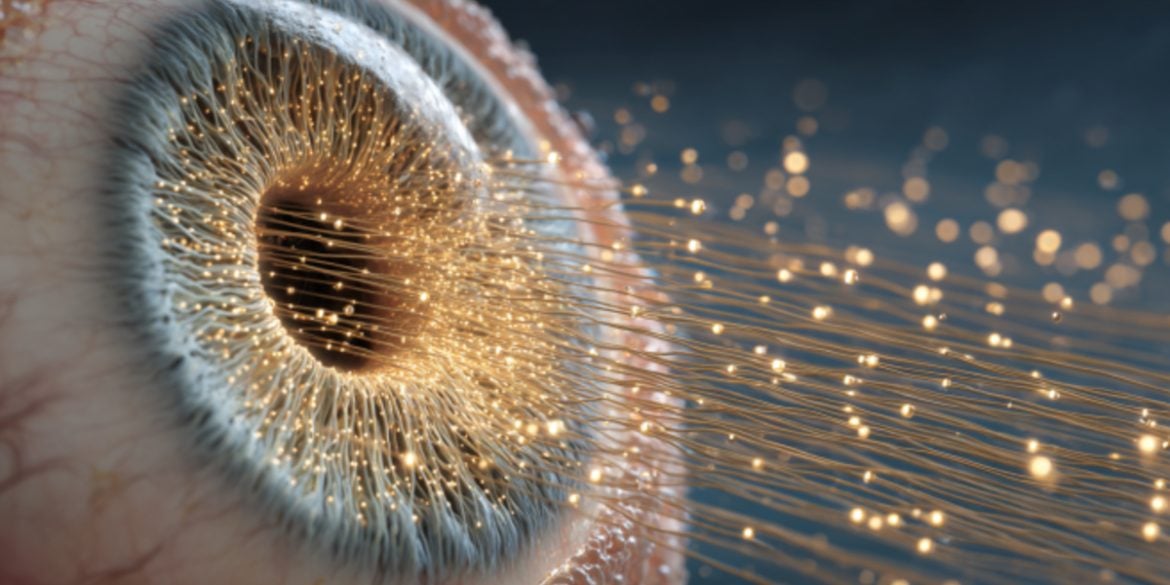 This shows an eye and stem cells.