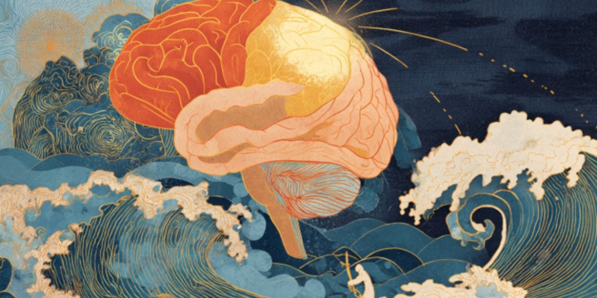 This shows a brain.
