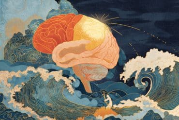 This shows a brain.