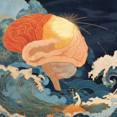 This shows a brain.