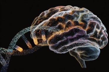 This shows a brain and DNA.