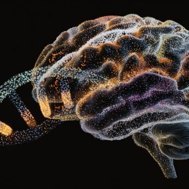 This shows a brain and DNA.