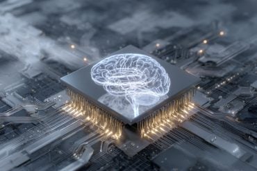This shows a brain on a chip.