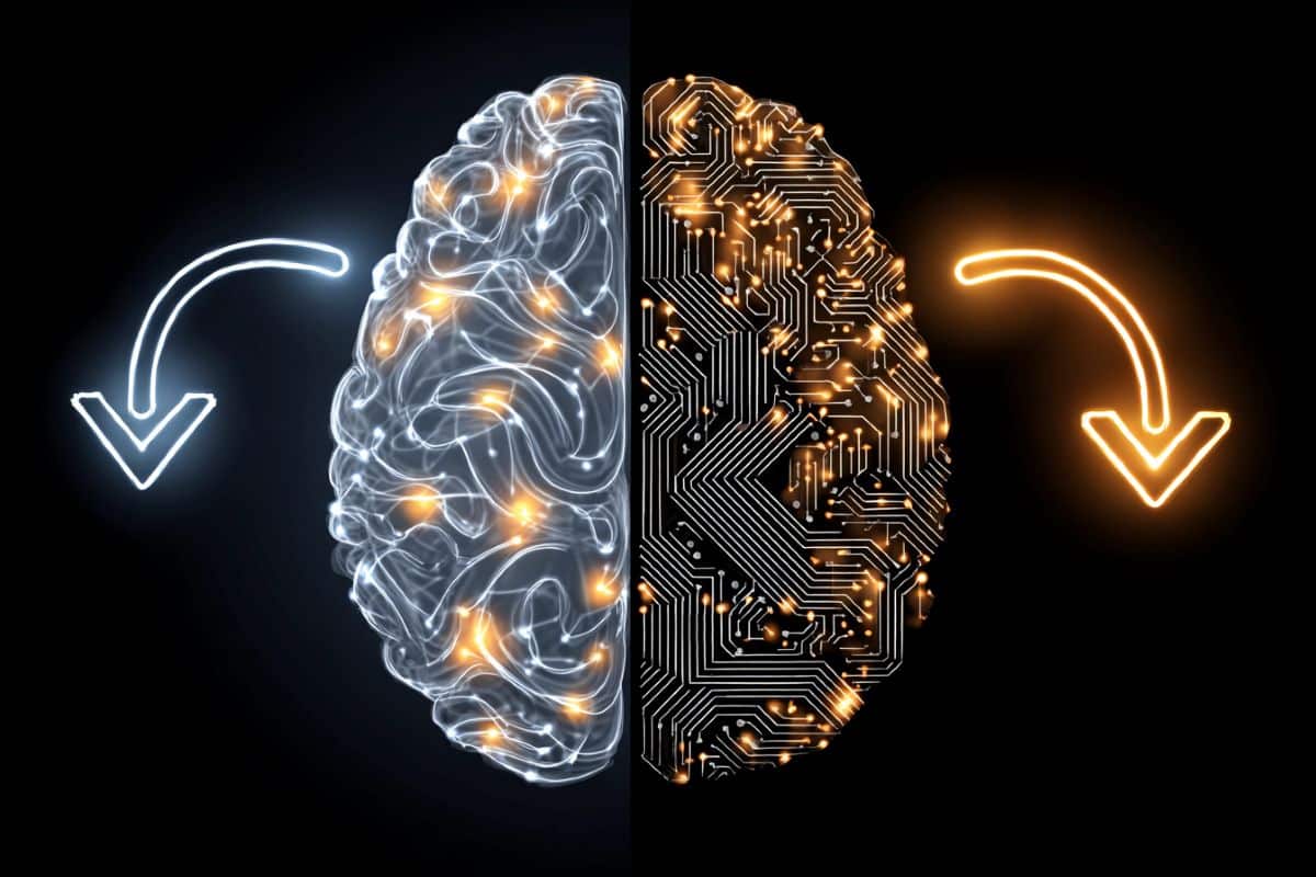 This shows a digital brain.