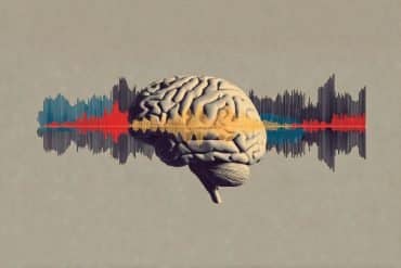 This shows a brain and brain waves.