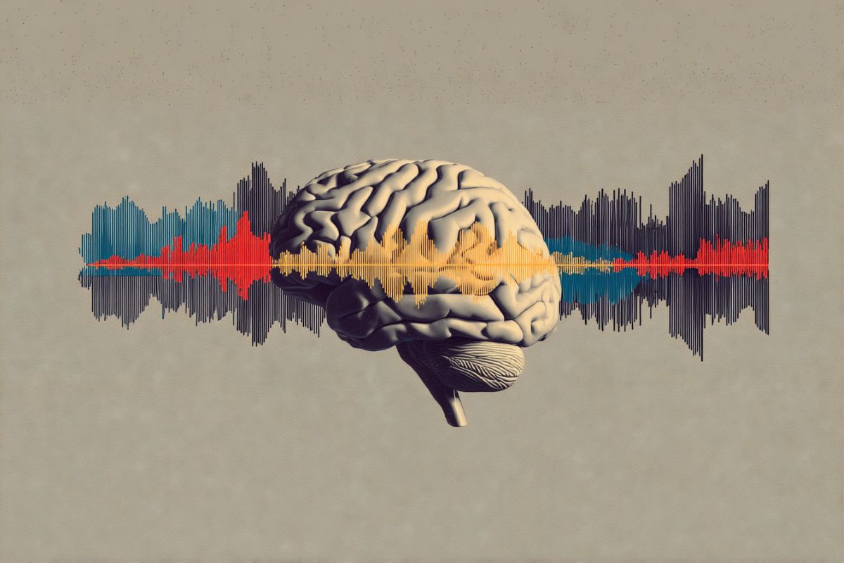 This shows a brain and brain waves.