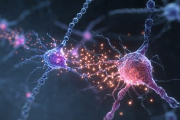 This shows neurons and DNA.