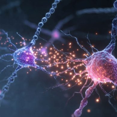 This shows neurons and DNA.