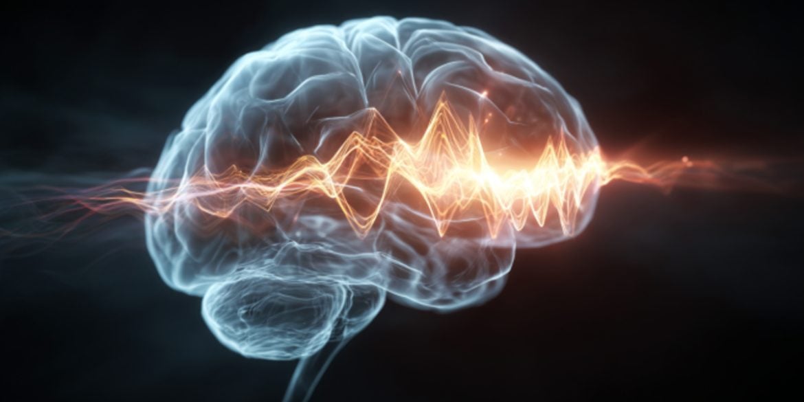 This shows a brain.