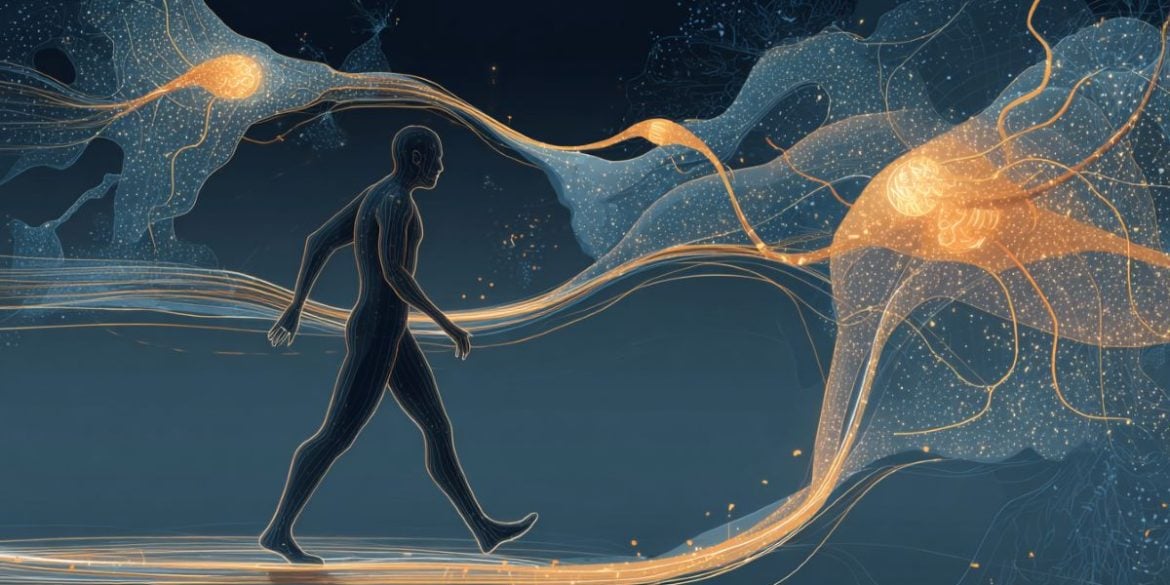 This shows a person walking and neurons.
