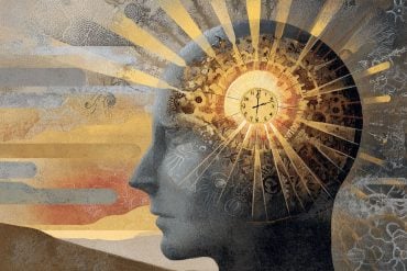 This shows the outline of a head and a clock.