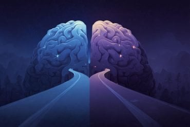 This shows a brain with two paths leading to it.