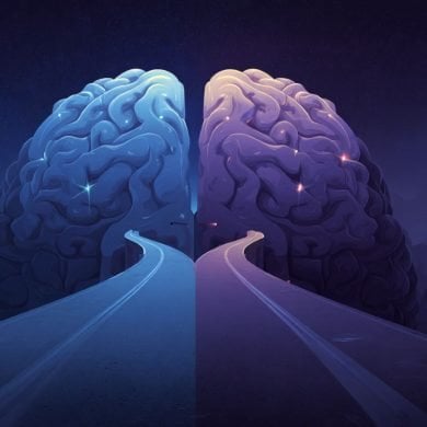 This shows a brain with two paths leading to it.