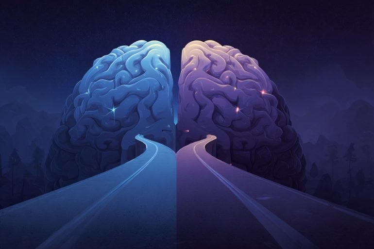 This shows a brain with two paths leading to it.